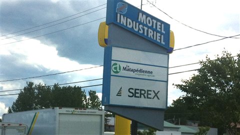 Serex Serex