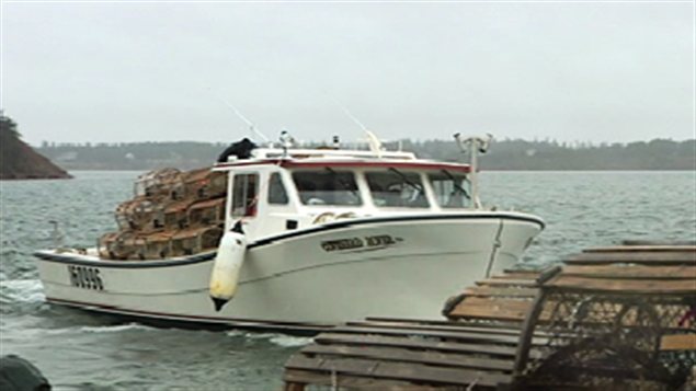 La pêche aux homards a été bonne cette année à l'Île-du-Prince-Édouard. La pêche aux homards a été bonne cette année à l'Île-du-Prince-Édouard.