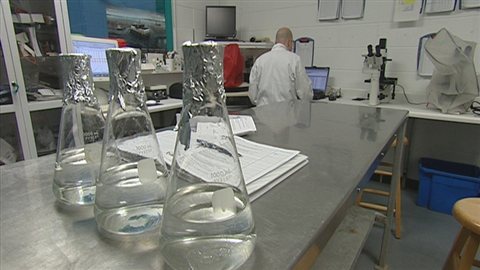 Laboratoire à l'ÉPAQ Laboratoire à l'ÉPAQ