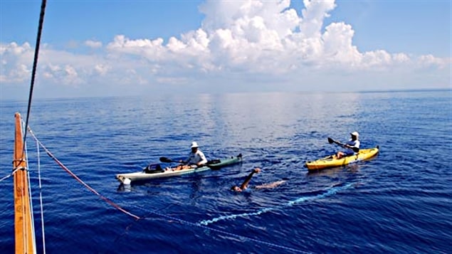 Diana Nyad entre Cuba et la Floride Diana Nyad entre Cuba et la Floride