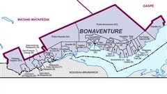 bonaventure bonaventure