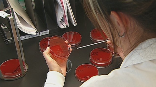 Technicienne en laboratoire Technicienne en laboratoire