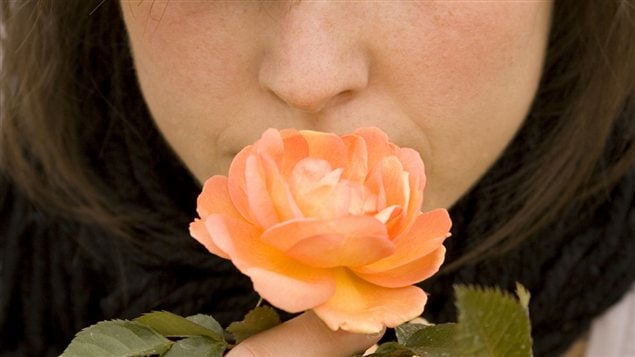 Sentir une fleur Sentir une fleur