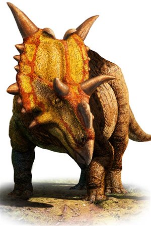 Xenoceratops Xenoceratops