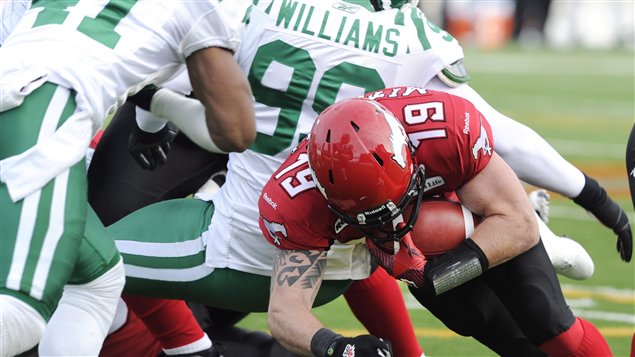 mitchell_stampeders mitchell_stampeders