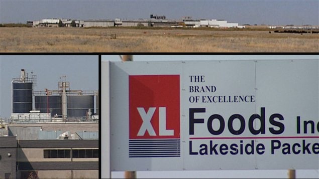 XLFoods XLFoods