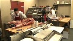 Le Maître-Boucher à Montréal est un des plus importants clients des Bergeries du Margot. Le Maître-Boucher à Montréal est un des plus importants clients des Bergeries du Margot.