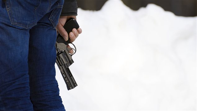 Les armes aux États-Unis, quelques données parlantes Les armes aux États-Unis, quelques données parlantes