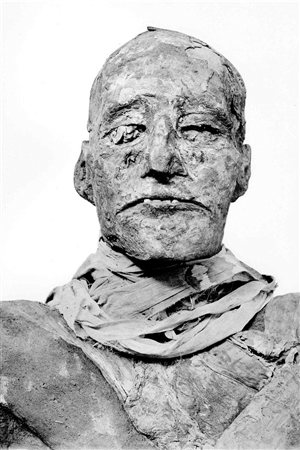La momie de Ramsès III. La momie de Ramsès III.
