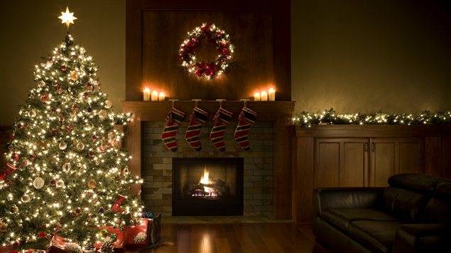 On retrouverait des milliers d'insectes dans les sapins de Noël naturels. On retrouverait des milliers d'insectes dans les sapins de Noël naturels.