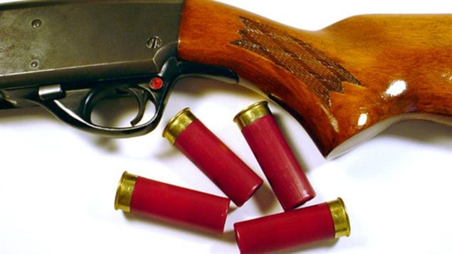 Un fusil de chasse et des cartouches Un fusil de chasse et des cartouches