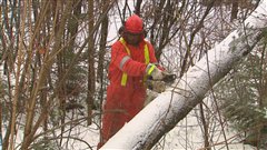 Un travailleur d'Hydro-Québec Un travailleur d'Hydro-Québec