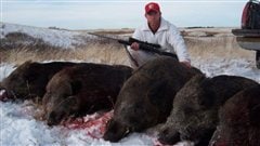Un chasseur et les sangliers qu'il a tués. Un chasseur et les sangliers qu'il a tués.