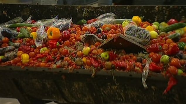 Aliments jetés à la poubelle Aliments jetés à la poubelle