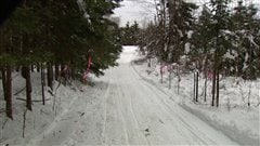Au prix d'un travail acharné, le club de motoneige L'ours blanc est parvenu à dégager la moitié des sentiers depuis Noël. Au prix d'un travail acharné, le club de motoneige L'ours blanc est parvenu à dégager la moitié des sentiers depuis Noël.