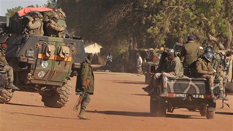 Des troupes françaises et maliennes arrivent à Diabali. Des troupes françaises et maliennes arrivent à Diabali.