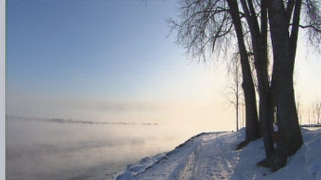 froid froid