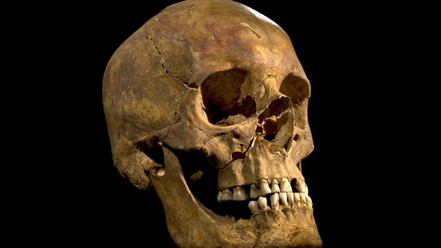 Photo du crâne du squelette retrouvé lors de recherches archéologiques à Leicester, au Royaume-Uni, et qui pourrait être celui du Roi Richard III, qui règna sur l'Angleterre de 1483 à sa mort en 1485. Photo du crâne du squelette retrouvé lors de recherches archéologiques à Leicester, au Royaume-Uni, et qui pourrait être celui du Roi Richard III, qui règna sur l'Angleterre de 1483 à sa mort en 1485.