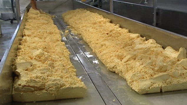 Fabrication de fromage dans l'usine de la fromagerie St-Albert Fabrication de fromage dans l'usine de la fromagerie St-Albert