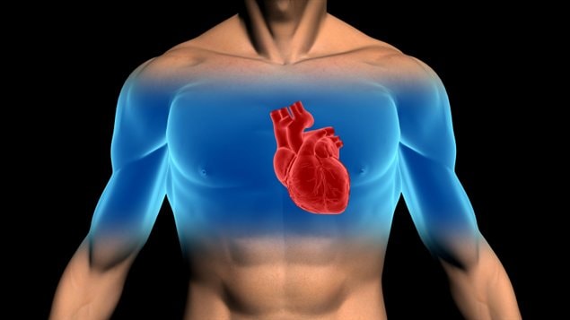 Un coeur Un coeur