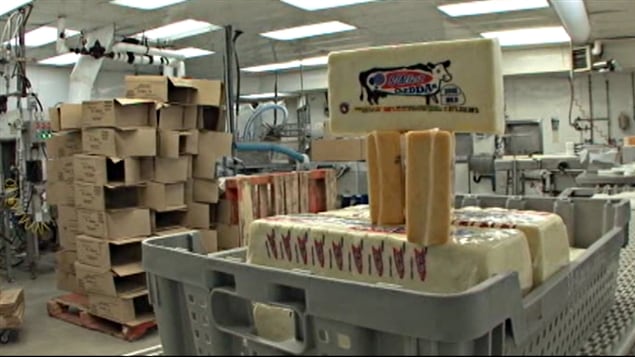 La perte de la fromagerie St-Albert est estimée à 25 millions de dollars. La perte de la fromagerie St-Albert est estimée à 25 millions de dollars.