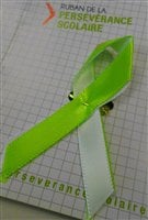 Le ruban de la persévérance scolaire Le ruban de la persévérance scolaire