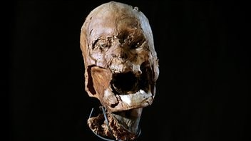La tête momifiée du roi Henri IV La tête momifiée du roi Henri IV