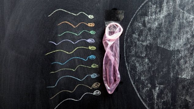 Éducation sexuelle Éducation sexuelle