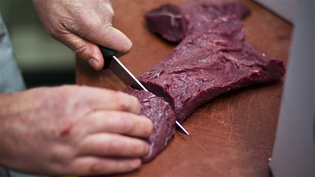 Viande de cheval Viande de cheval