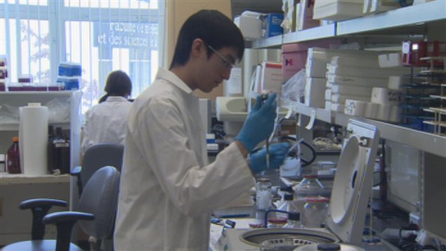 Recherche dans un laboratoire Recherche dans un laboratoire