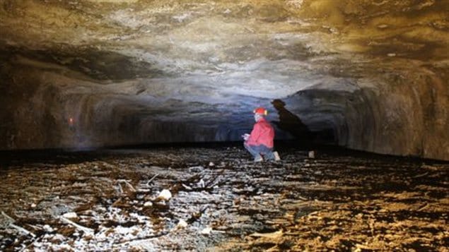 Le tunnel et son découvreur, le Pr Éric Gilli Le tunnel et son découvreur, le Pr Éric Gilli