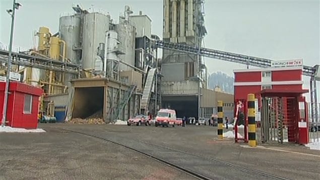 L'usine de bois de Menznau où s'est produit la fusillade. L'usine de bois de Menznau où s'est produit la fusillade.