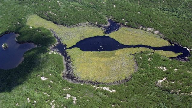 Cette image non datée montre un lac faisant partie de la 8e anné du réservoir de terres humides (Projet de réservoirs dans la région des lacs expérimentaux). Cette image non datée montre un lac faisant partie de la 8e anné du réservoir de terres humides (Projet de réservoirs dans la région des lacs expérimentaux).