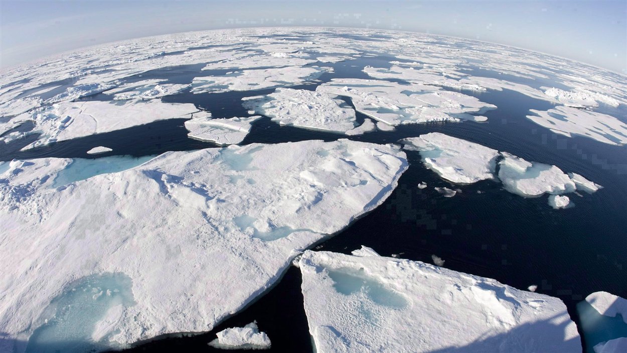 L'acidification de l'océan Arctique inquiète ICI.RadioCanada.ca
