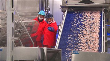 L'usine des Fruits de mer de l'Est du Québec L'usine des Fruits de mer de l'Est du Québec