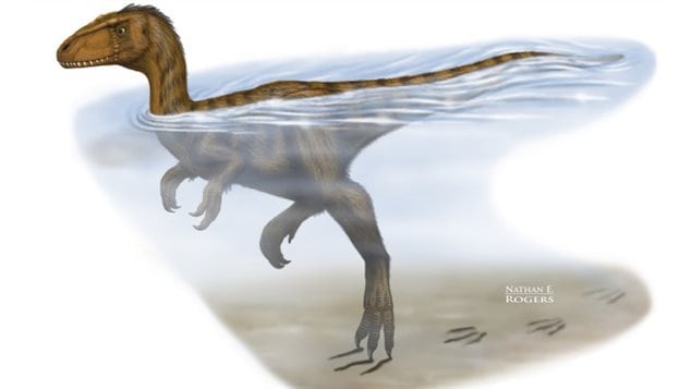 Représentation d'un dinosaure dans l'eau Représentation d'un dinosaure dans l'eau