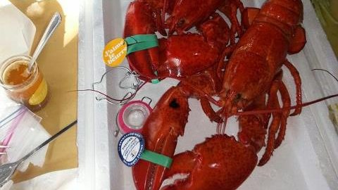Homards cuits Homards cuits