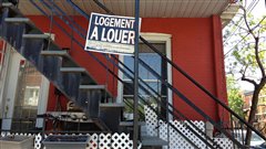 Un logement à louer dans Hochelaga-Maisonneuve Un logement à louer dans Hochelaga-Maisonneuve