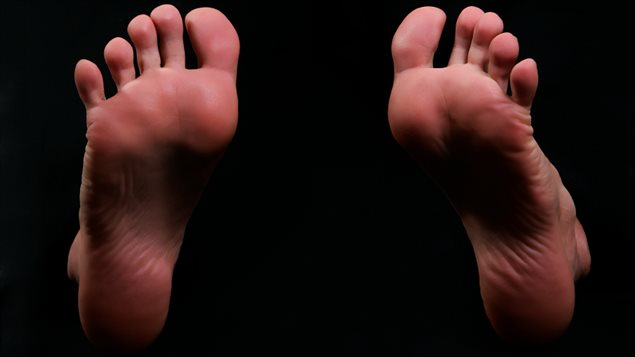 Des pieds Des pieds