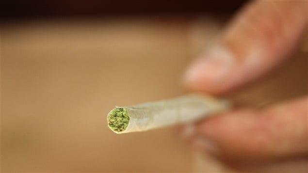 Ottawa change les règles pour l'approvisionnement de marijuana à usage thérapeutique Ottawa change les règles pour l'approvisionnement de marijuana à usage thérapeutique