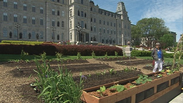 Le potager urbain est aménagé devant l'Assemblée nationale. Le potager urbain est aménagé devant l'Assemblée nationale.