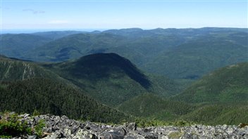 Le parc national de la Gaspésie compte 25 sommets supérieurs à 1000 m, notamment le mont Jacques-Cartier qui est le seconde plus haute montagne du Québec. On peut y admirer le dernier troupeau de caribous forestiers au sud du 49e parallèle. Le parc national de la Gaspésie compte 25 sommets supérieurs à 1000 m, notamment le mont Jacques-Cartier qui est le seconde plus haute montagne du Québec. On peut y admirer le dernier troupeau de caribous forestiers au sud du 49e parallèle.