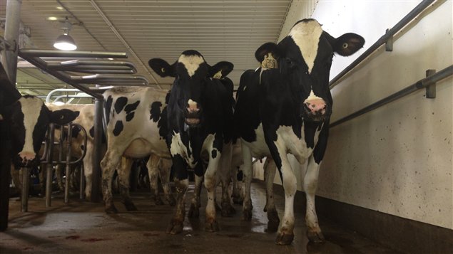 Rencontre agriculteur quebec