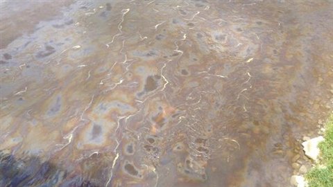 La rivière Chaudière, à Saint-Martin, en Beauce, est visiblement polluée par des hydrocarbures. La rivière Chaudière, à Saint-Martin, en Beauce, est visiblement polluée par des hydrocarbures.
