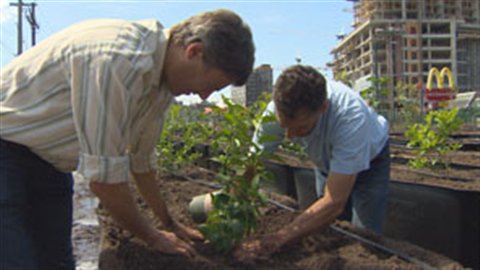 Le maire de Vancouver, Gregor Robertson, et le cofondateur de Sole Food, Michael Ableman Le maire de Vancouver, Gregor Robertson, et le cofondateur de Sole Food, Michael Ableman