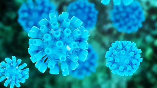Représentation 3D du virus de l'hépatite C Représentation 3D du virus de l'hépatite C