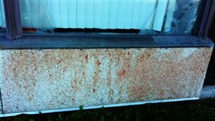Ce qui semble être du sang de porc été versé sur la façade de la mosquée Ce qui semble être du sang de porc été versé sur la façade de la mosquée