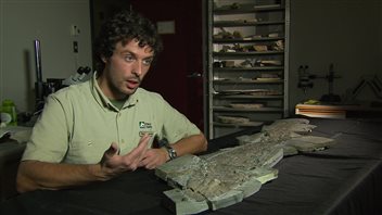 Olivier Matton et le fossile d'Elpistostege Olivier Matton et le fossile d'Elpistostege