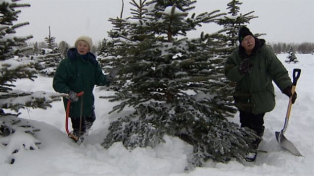 Judy et Peter Kappeler, propriétaires de la sapinière Fir Ever Green Judy et Peter Kappeler, propriétaires de la sapinière Fir Ever Green