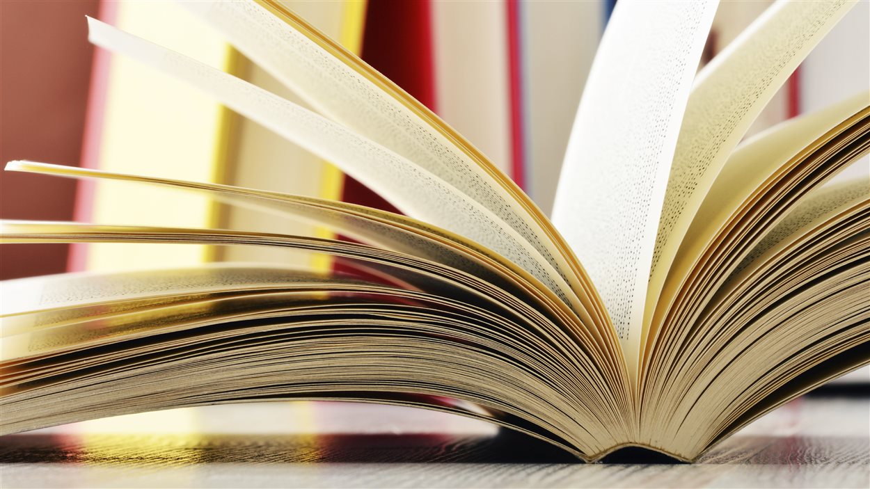 Les pages d'un livre ouvert.